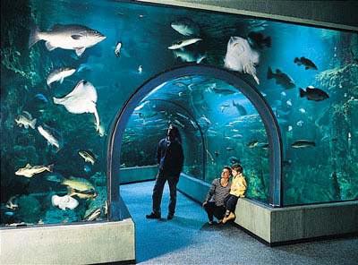 oceanarium hotels